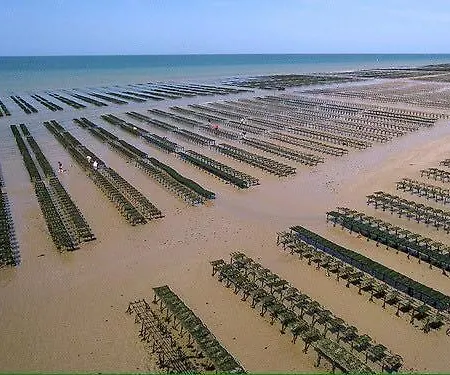 Les Pommiers Duplex Cosy Confort Dans Maison Neuve Avec Terrasse Entree Independante Parking 5 Mn De Bayeux Et 10 Mn Du Debarquement Apartment Sommervieu