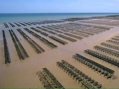 Les Pommiers Duplex Cosy Confort Mitoyen D'une Maison Neuve Avec Terrasse Entree Independante Parking 5 Mn De Bayeux Et 10 Mn Du Debarquement Διαμέρισμα Sommervieu