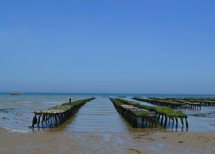Les Pommiers Duplex Cosy Confort Mitoyen D'une Maison Neuve Avec Terrasse Entree Independante Parking 5 Mn De Bayeux Et 10 Mn Du Debarquement Sommervieu